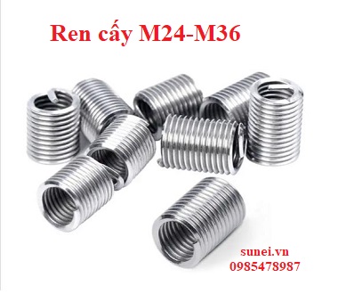 Ren-cay-loai-lon-M24-M30-M36